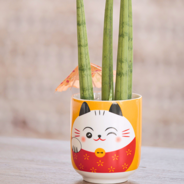 Cachepot Daniele - Maneki Neko: o gato da sorte. - Image 3