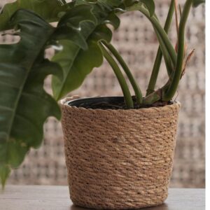 Cachepot Luciana